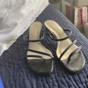 Black strappy kitten heals